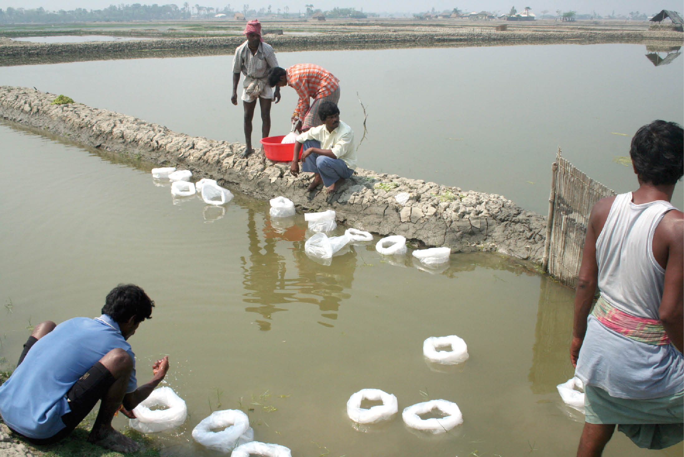 Aquaculture as an Adaptive Strategy to Climate Change